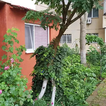 Ap Cu 3 Cam Decomandat La Parter Cu 2 Intrari Separate *